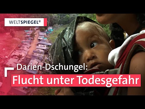 Darién-Gap: Die gefährlichste Fluchtroute der Welt