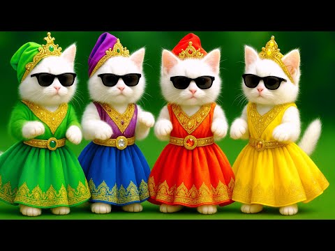बिल्ली  डांस,💃| Cutest Cat videos funny dance 🤣 💃 Videos for cats #funny #dancingcat #cat #kitten