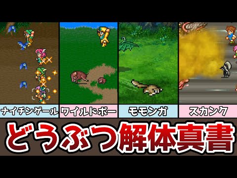FF5 どうぶつ 解体真書 全９種類の動物を紹介 ネオエクスデスにも効果あり!? ゆっくり解説 ファイナルファンタジー5 ピクセルリマスター アドバンス
