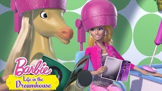 Barbie 55 - De s barbie