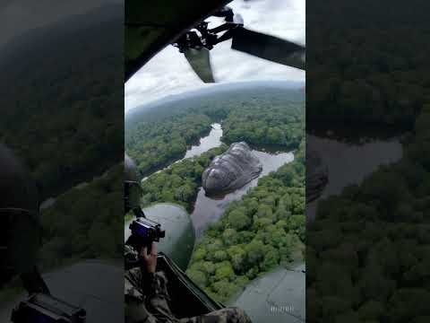¡Descubren un posible nido de anacondas gigantes en el Amazonas!   They May Have Found a Giant Anaco