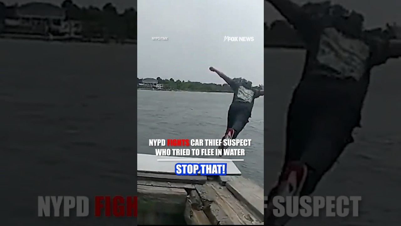 WATCH: NYPD officer dives in after suspect who fled into the water #shorts #nypd #water #suspectruns