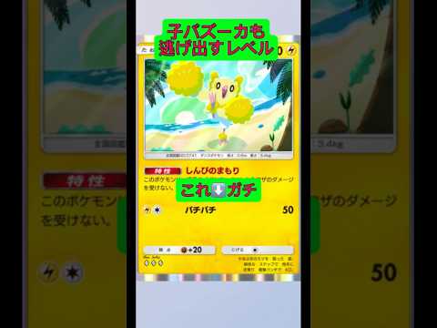オドリドリの輝きと見どころを詳しく紹介 サムネイル