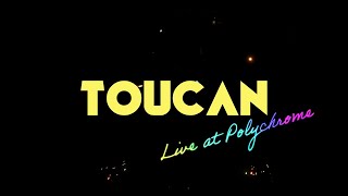 TOUCAN - Cascade Lumière - Live @Polychrome