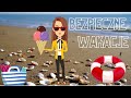 Miniatura video