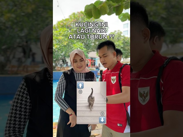 kucing ini sedang turun tangga atau naik tangga? #lucu #trend #relate #lewatberanda #funny #quiz