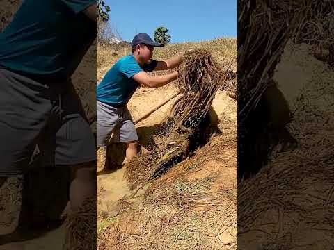 Ultimate Drain Rescue – Culvert Back to Life!