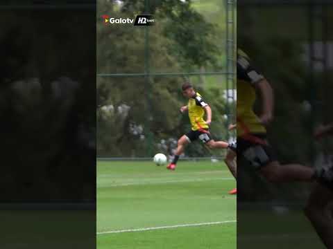 image para ilustrar o artigo