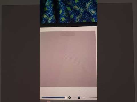 Dyle and Brusha 🤍 #ibispaintx #digitalart #dandysworld