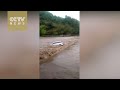 Car swept away due to flash floods, leaves three campers dead and two missing