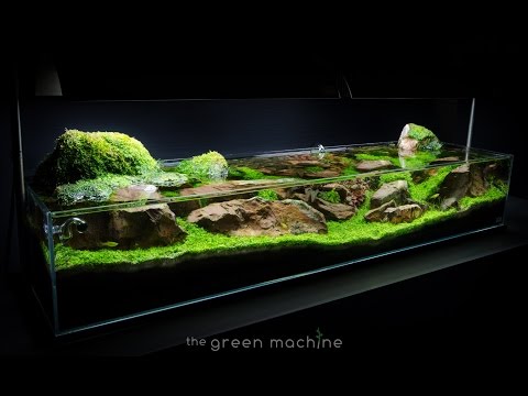 Aquascape Tutorial Guide_ 'Continuity' by James Fi The Art of Aquascaping Book now is available to download- https_//www.thegreenmachineonline.com/aqua
