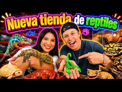 Estos son los reptiles más impresionantes del mercado de peces Mixiuhca