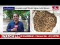 ప్రతి రైతుకు వేరుశనగ విత్తనాల పంపిణి ప్రారంభించాము | Anantapuram Collector VinodKumar F2F | hmtv - 04:24 min - News - Video