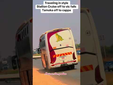 Stallion cruise vs Tamuka #automobile #music #bus