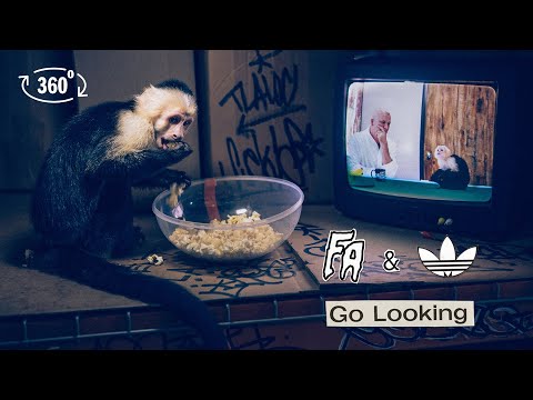 adidas Skateboarding /// FA World Entertainment: Go Looking