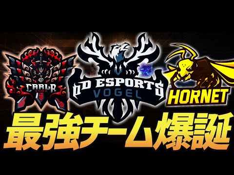 【荒野行動】Hornet、Carla、Vogel!!プロチームとまさかのドリームチームを組んで無双した試合が激熱すぎたｗｗｗｗ