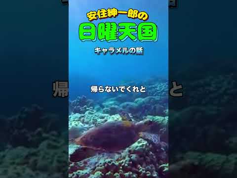 キャラメルのような甘い話🤣#日曜天国 #安住紳一郎の日曜天国 #tbsラジオ