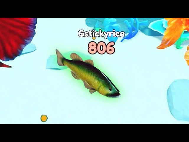 เป็นปลา (Roblox)