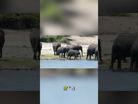 “The Country with a Fortress in the Sky! 😳🏰”