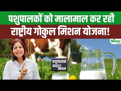 Rashtriya Gokul Mission Yojana ने रचा इतिहास, पशुपालक जल्दी करें आवेदन और कमाएं करोड़ों। Cow Farming