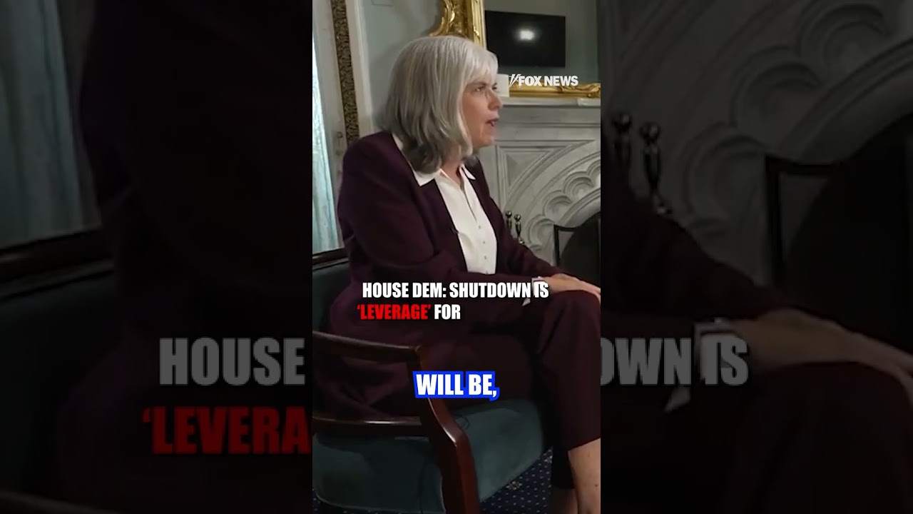 FAMILIES PAY THE PRICE: House Dem admits families will 'suffer' under a shutdown #shorts #news #usa