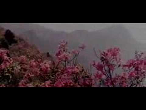 庐山恋插曲---故乡, homesick