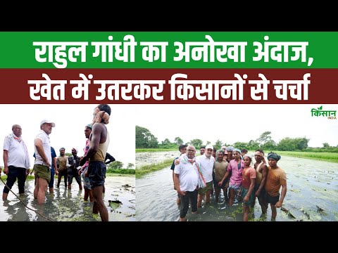 Voter Adhikar Yatra: खेत में किसानों के बीचन अचानक पहुंचे Rahul Gandhi। Kisan India