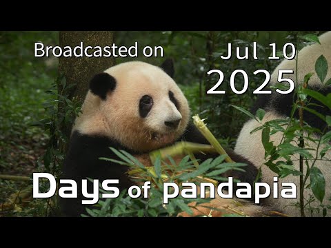 20250710 Broadcast Top Highlights 09