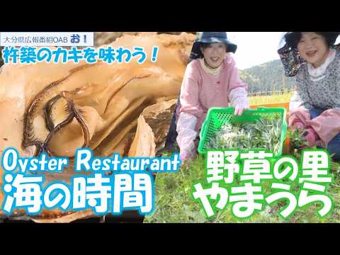 「お！」大分県広報番組（令和8年2月15日(日)放送分）