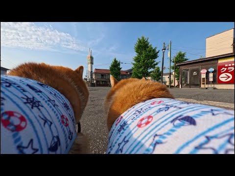 2025年8月23日(土)の早朝、冷感ウェアとサンドイッチを満喫するポイント サムネイル