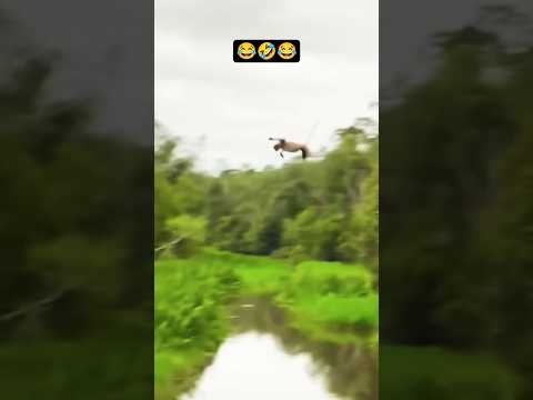 just fan 😀🪭😀🪭😁😄😺😎#shorts #youtubeshorts #funny