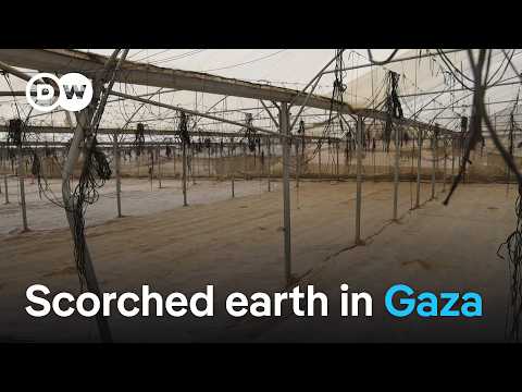 Will Gazans ever be able to produce their own food again? | DW News