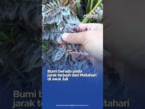 Video thumbnail Embun Es Muncul Lebih Cepat di Bromo Suhu Turun Drastis Akibat Aphelion