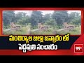 మంచిర్యాల జిల్లా జన్నారం లో పెద్దపులి సంచారం Tiger Hul Chul In Mancherial | 99TV