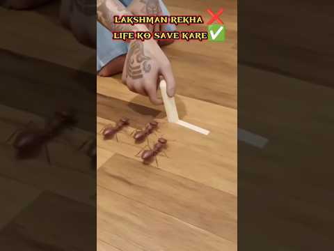 lakshman rekha|#shorts #lakshmanrekha #premadeewanaofficial