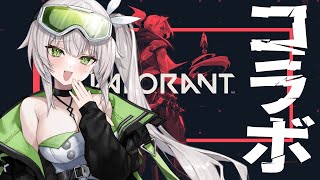女子トリオヴァロコラボ(⸝⸝ᐡ. ̫ .ᐡ⸝⸝)【  #valorant  #playvalorant 】