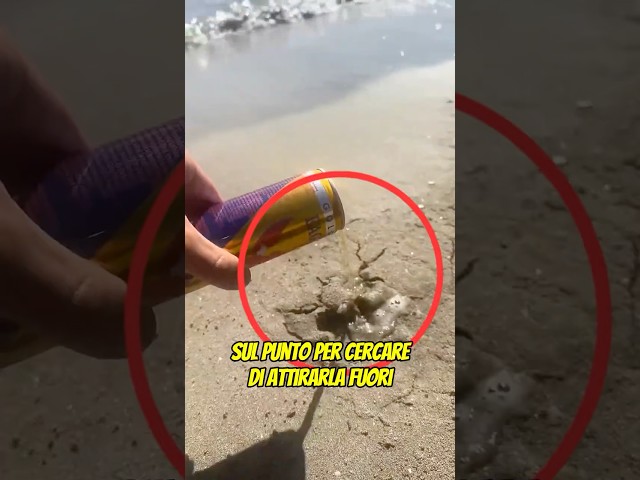Ha versato la soda sulla sabbia... Non crederai a quello che è uscito! 😱