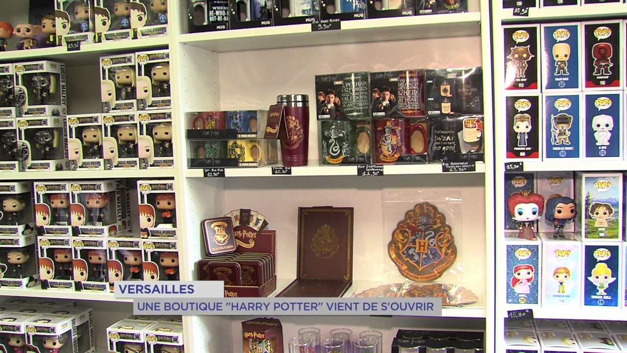 Insolite : une boutique Harry Potter à Versailles