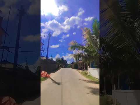 #@DyrrothVeno #nature #highlights #viralvideo #love #youtubeshorts #jaishreeram