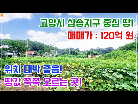 유튜브이미지