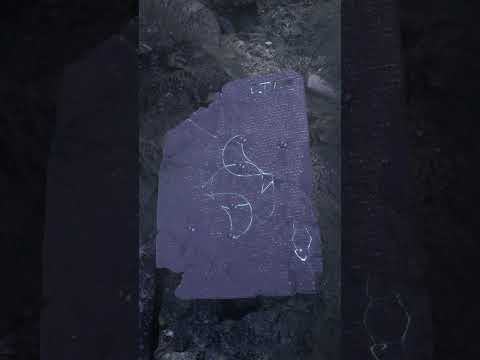 "Altar" New Preset Pack by Imer6ia for BLEASS SampleWiz 2