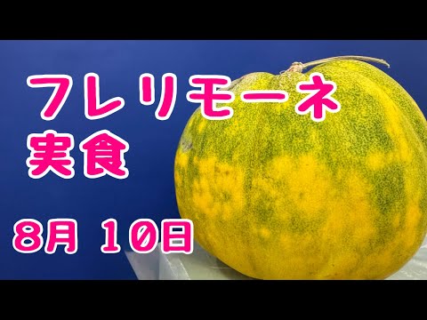 #メロン 🍈#フレリモーネ　実食！ #家庭菜園　2025年8月10日