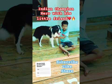 Indian Champion Hero with his lityle friend❤️🔥#pets #love #puppy #dog