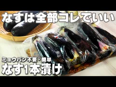 【なす 浅漬け】ミョウバン不要！ 揉むだけ５分で絶品！ 市販の素はもう卒業！ やみつき なす 漬物 レシピ