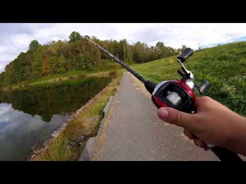 Me Vs. The Baitcaster
