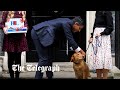 Watch: PM Rishi Sunak awkwardly buys poppies for wife and dog outside No.10