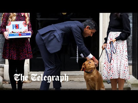 Watch: PM Rishi Sunak awkwardly buys poppies for wife and dog outside No.10
