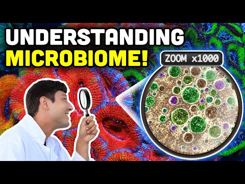 The Hidden World in Your Aquarium_ Reef Microbiome In this video Taras begins a new series getting into the details of microbiome in our reef tanks. Th