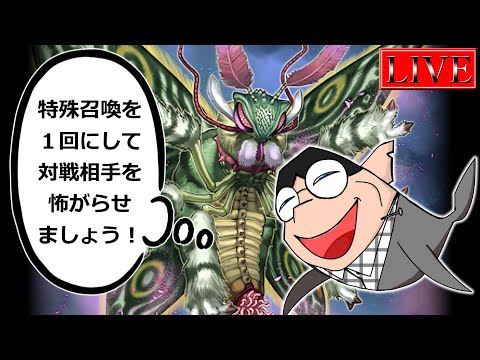 シンクロカップに向けたランクアップのポイント【遊戯王マスターデュエル】 サムネイル