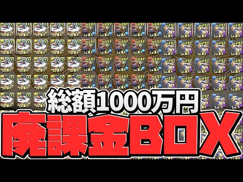 【廃課金】パズドラに1000万円課金するとBOXはこうなります。【BOX紹介】【パズドラ】